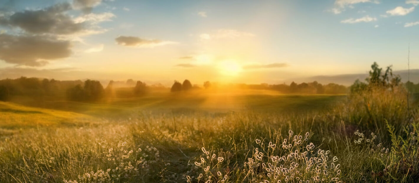 Europe’s ETF Horizon: Our 6 Predictions for 2026